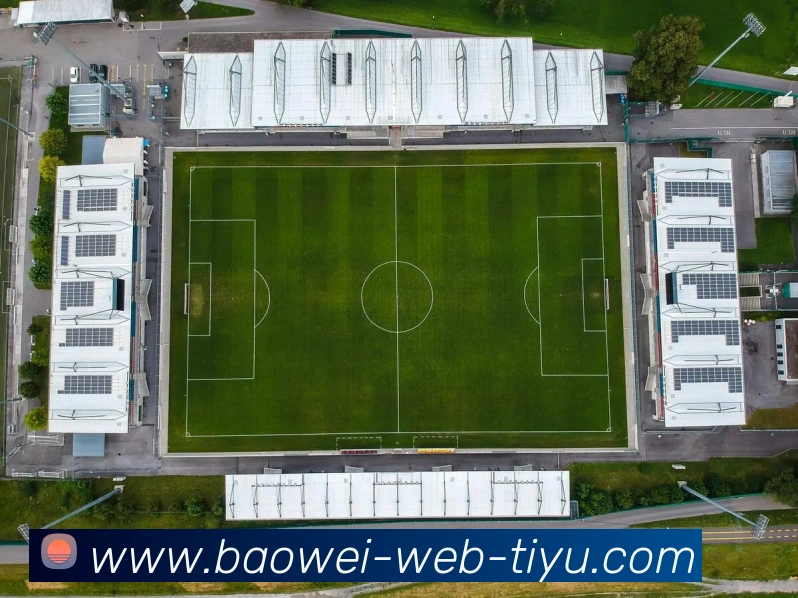 App Interface Preview