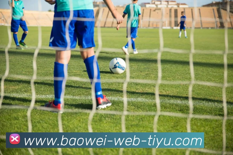 宝威体育APP 封面图